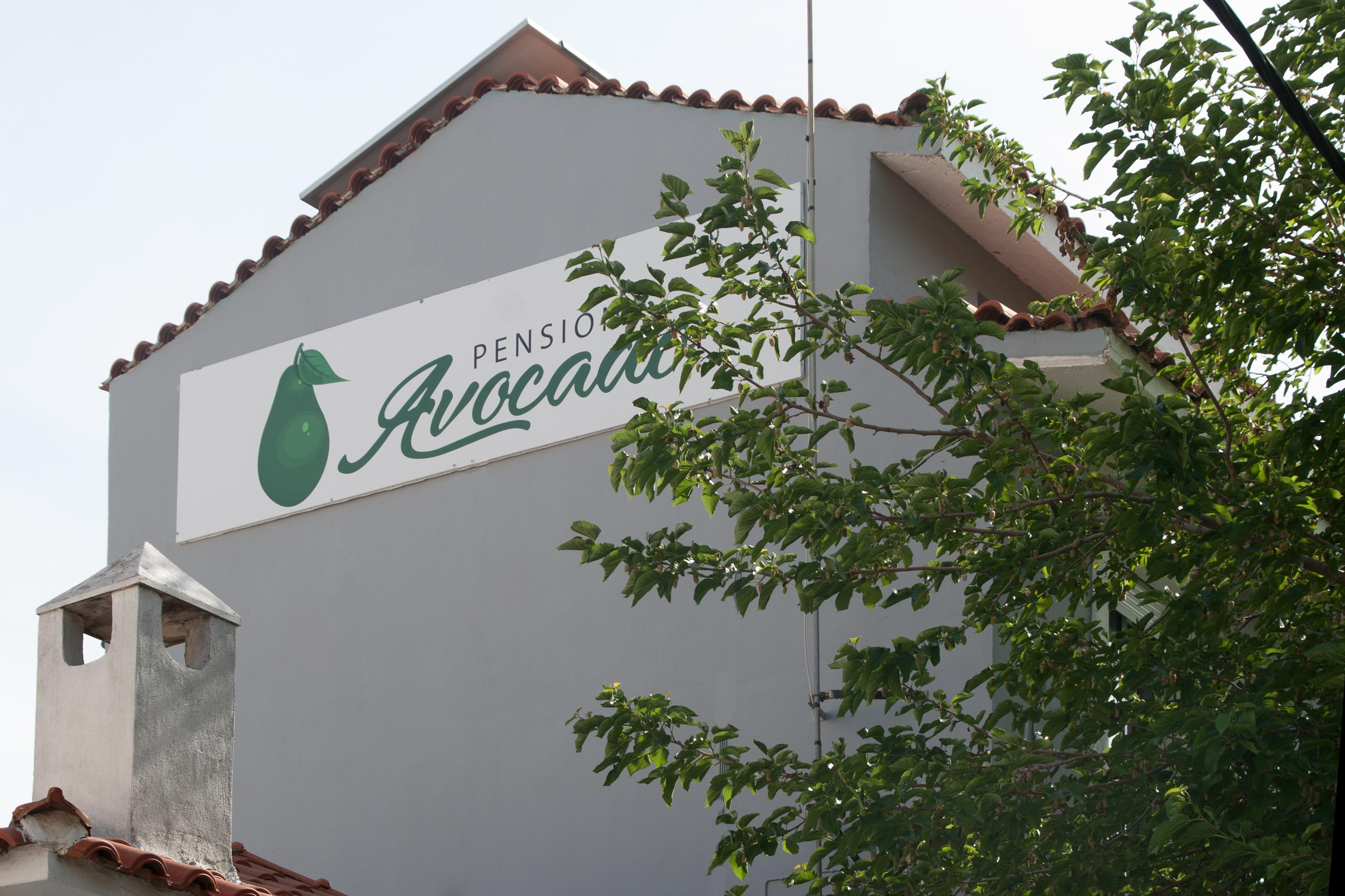 Avocado Skiathos Extérieur photo
